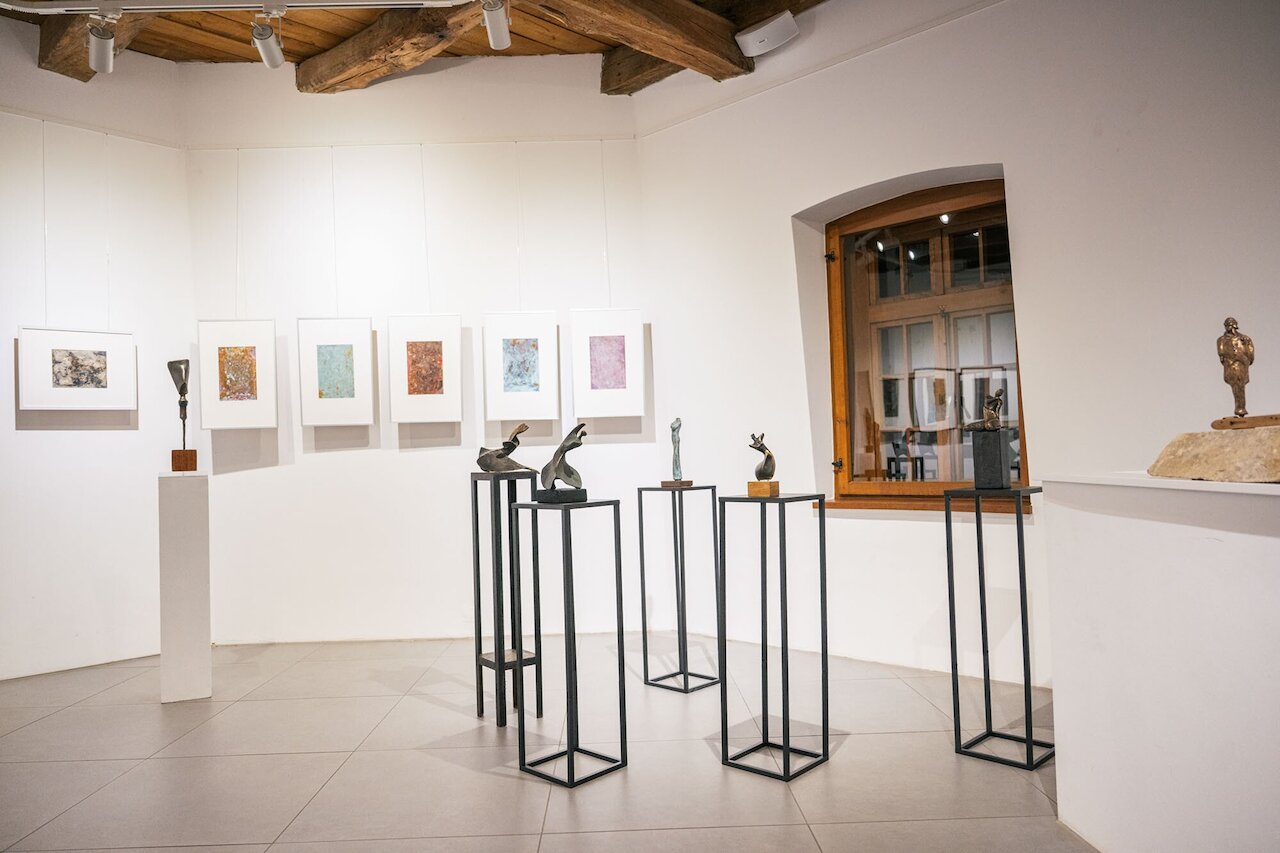Impressionen Ausstellungseröffnung "Armin Wildner"  Image 11