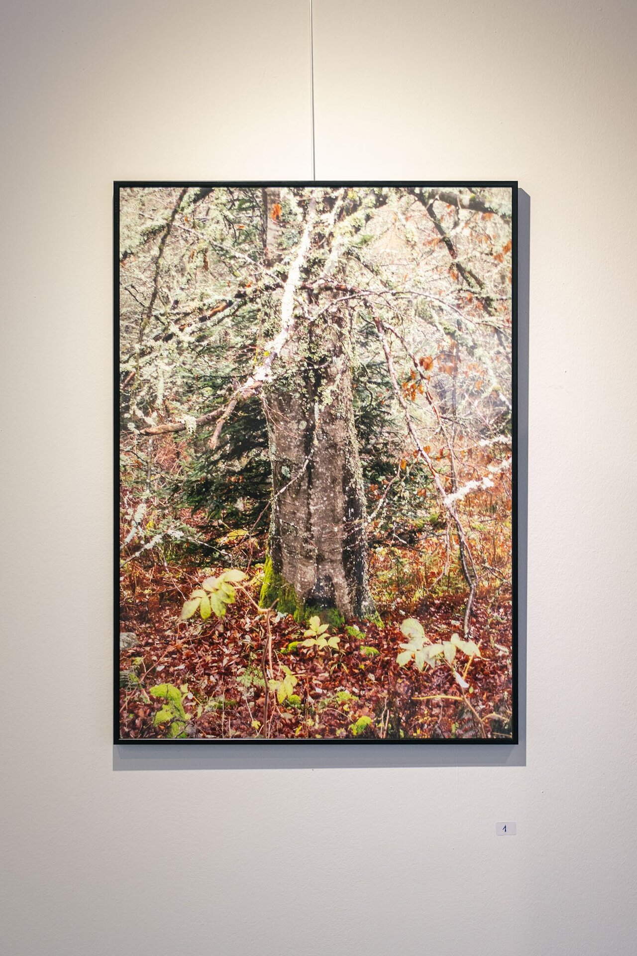 Impressionen Ausstellungseröffnung "Jacques Muhlenbach – Die Morula lebt"  Image 2